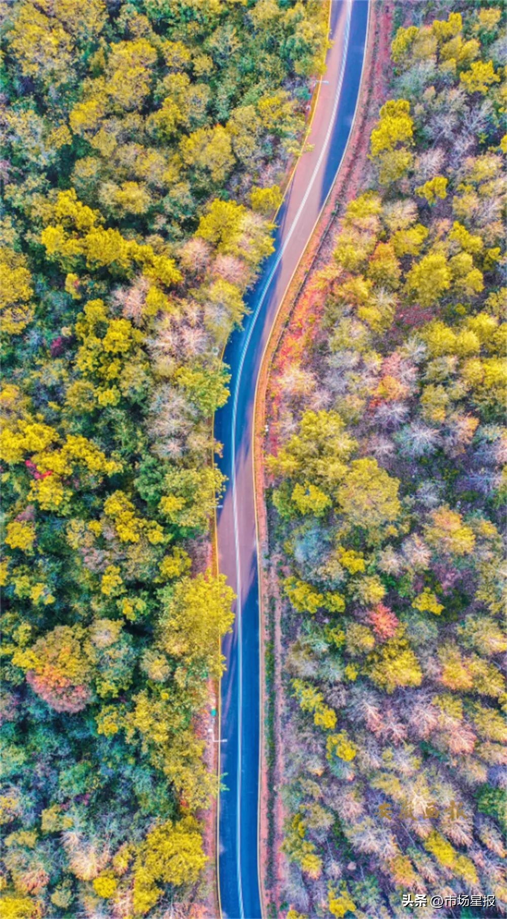 风华正安徽|含山含水，臻善臻美