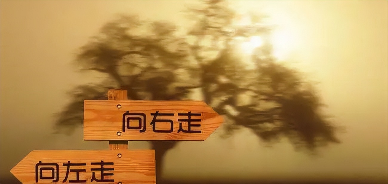 信息管理与信息系统可以做什么呢,信息管理与信息系统专业学什么