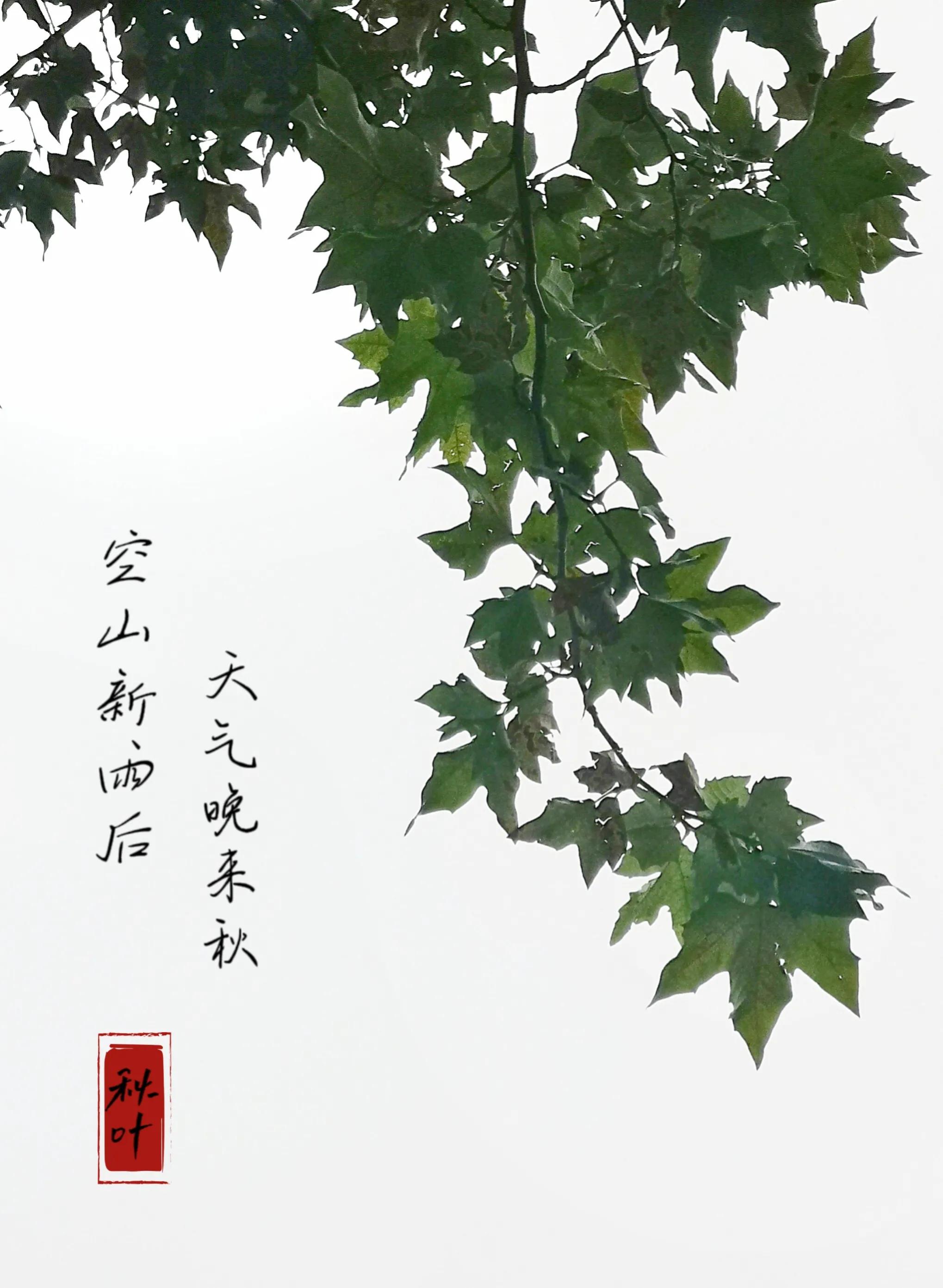 看了这里你就一定会了解你手机的影像系统