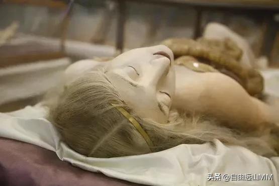 断臂维纳斯的解剖结构特点,被肢解的维纳斯