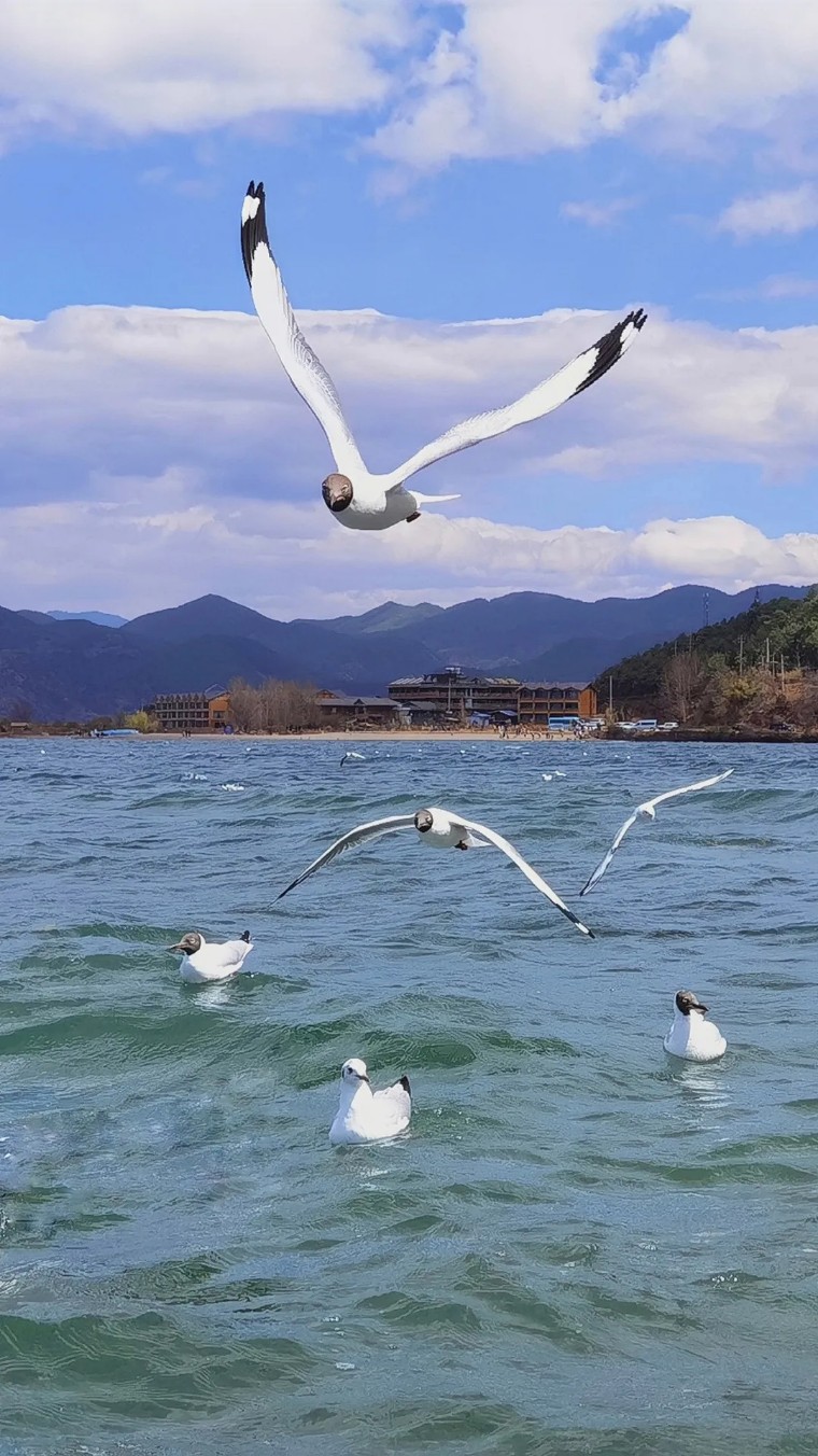 如何拍出唯美风景大片,唯美大片拍摄技巧风景