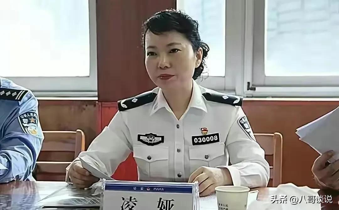 凌娅落网后，恶贯满盈的“太子奶”专案组浮出水面，个个身居要职