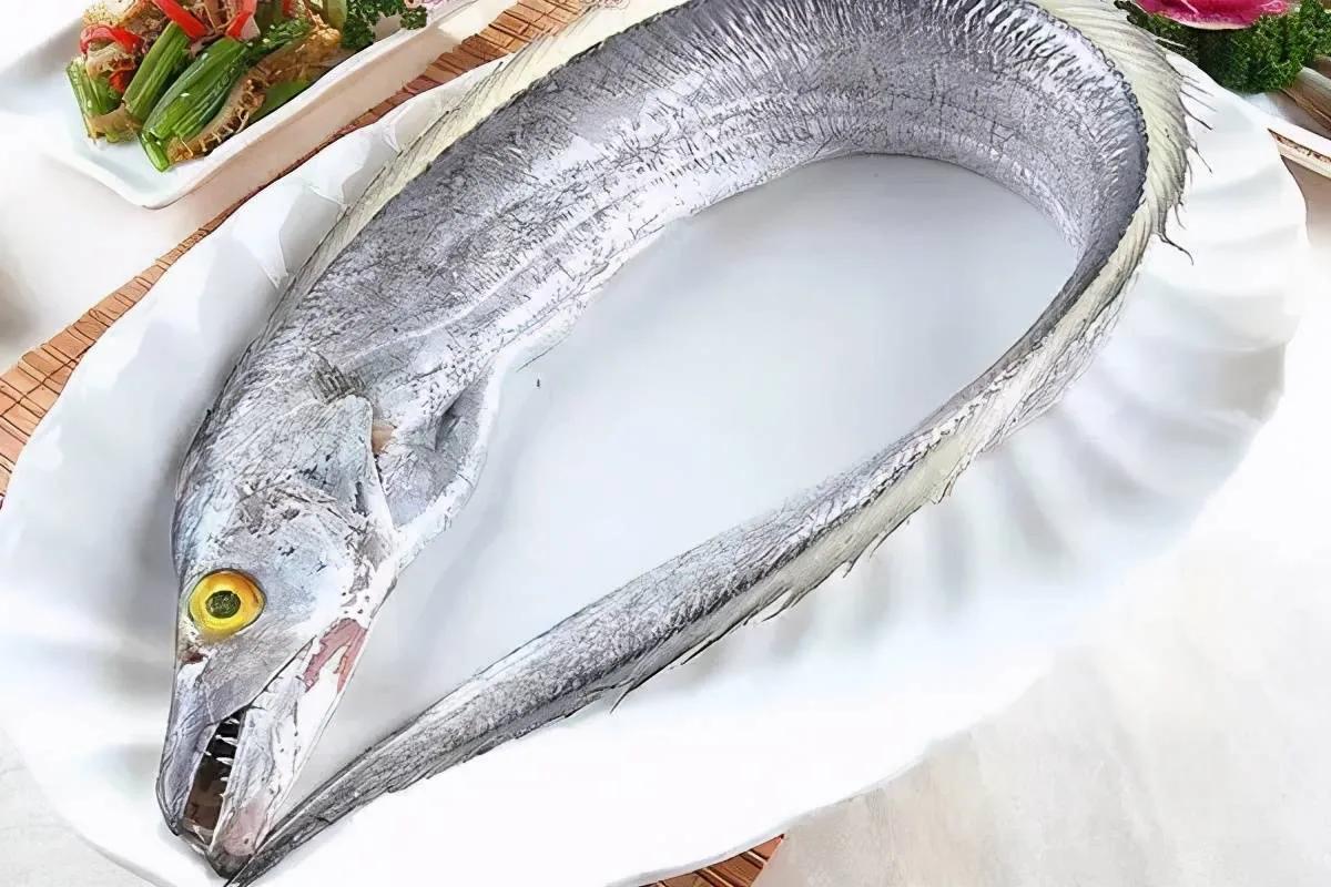 10种海鱼便宜营养价值高,30种最常吃的海鱼图片大全