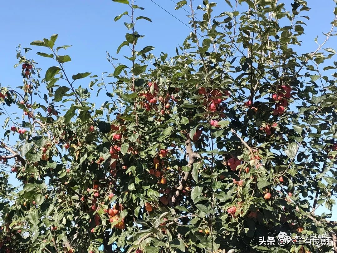 疫情虽然可怕但是我们永不畏惧,疫情依然不容小视