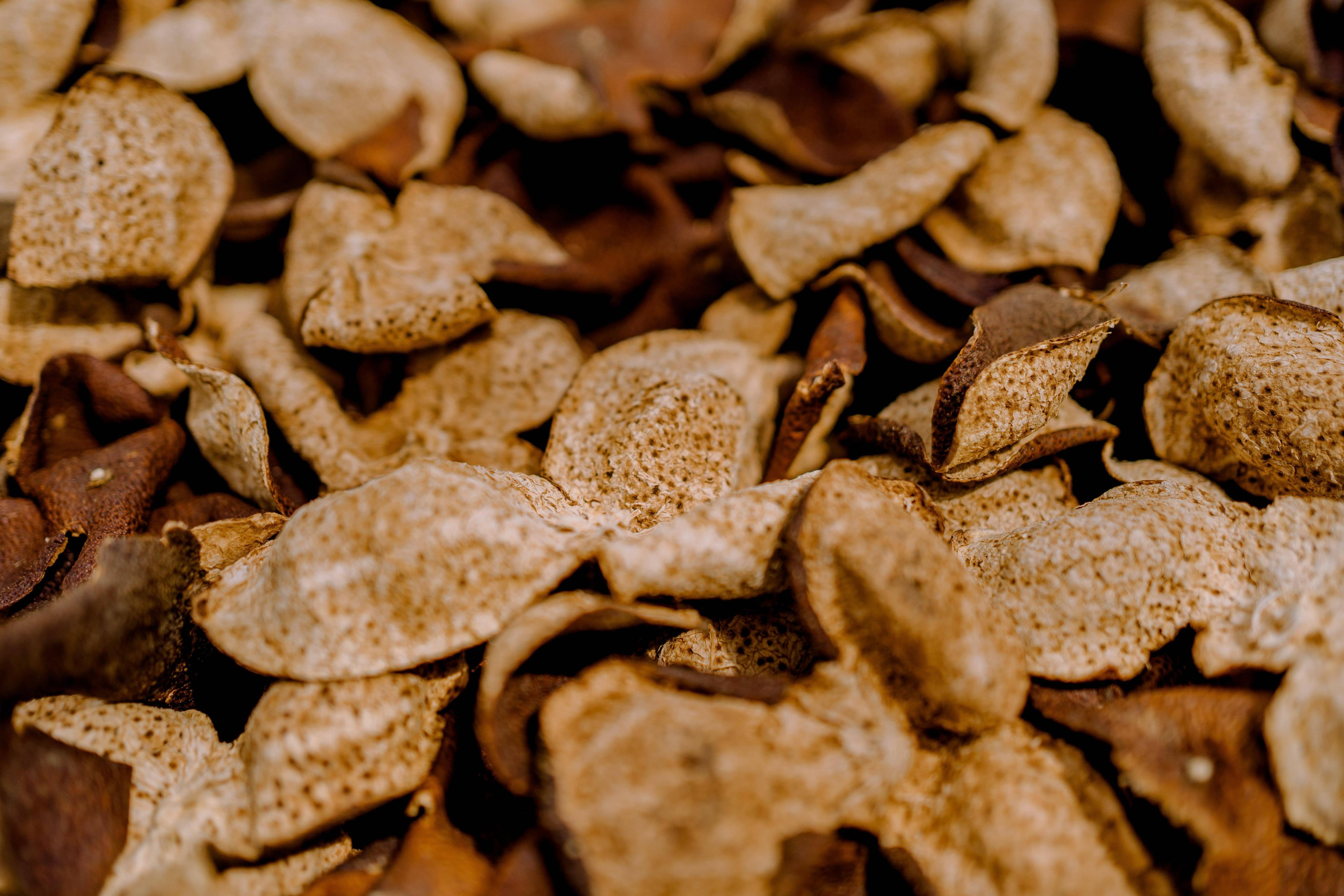 怎么识别真陈皮和假陈皮,买到了假陈皮应该怎么办