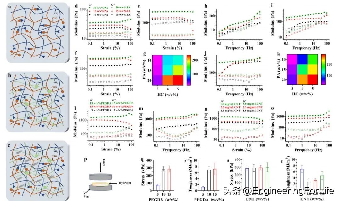 多功能修护水凝胶,水凝胶修复心脏