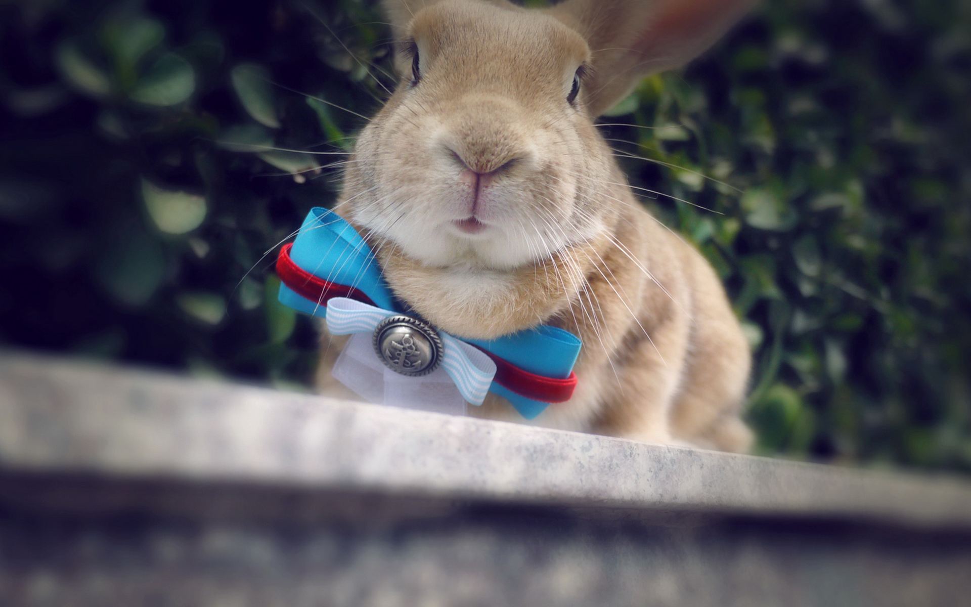 学驾照付出就有回报,学驾照从满心欢喜到心累