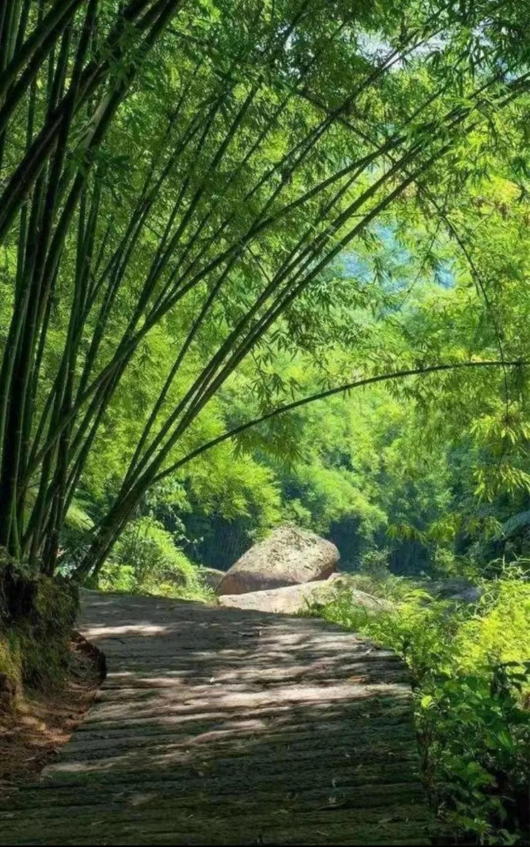 红叶诗五言全文,红叶的诗句古诗大全