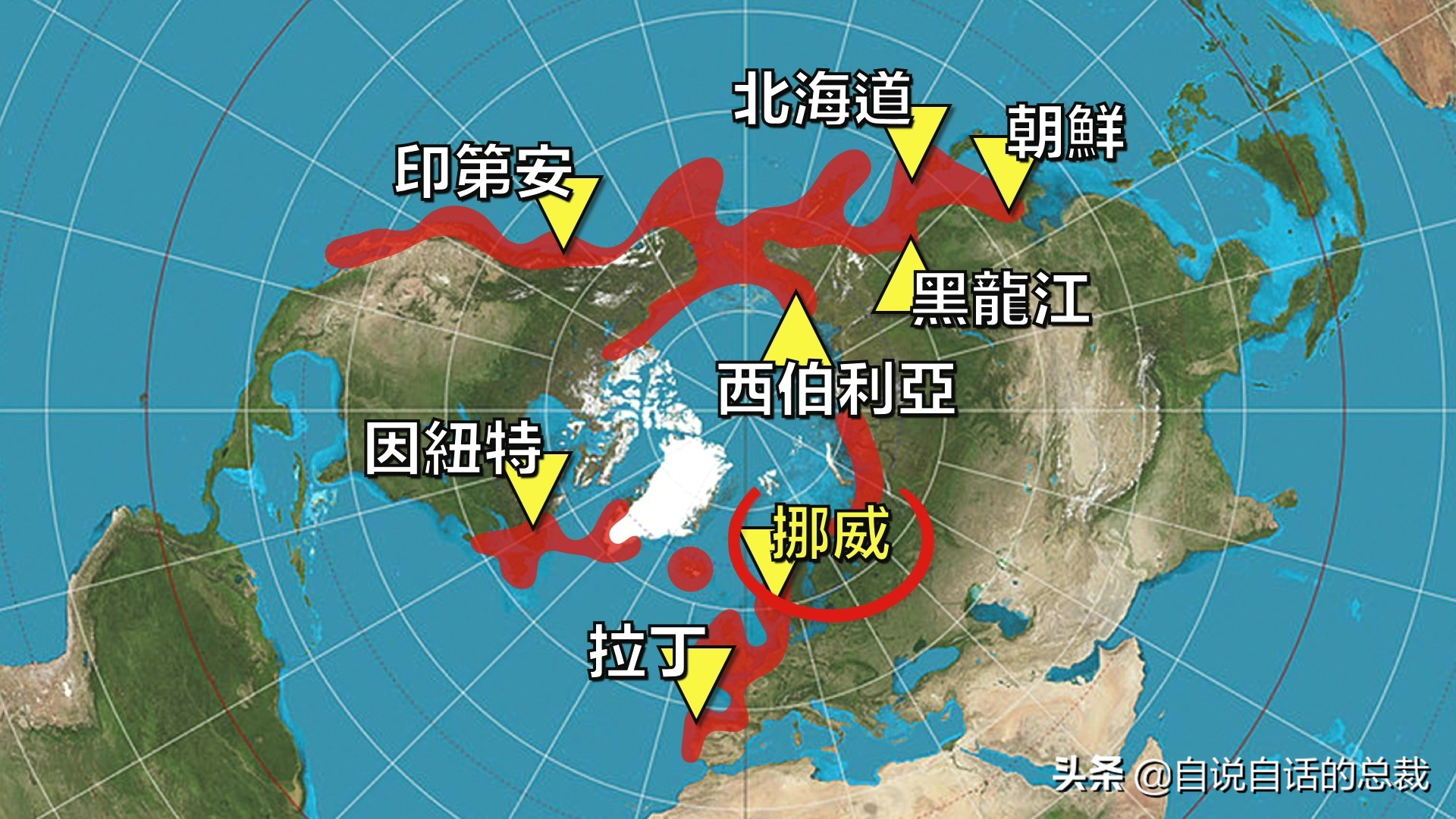 国内的假三文鱼是什么鱼,哪种才是真正的三文鱼