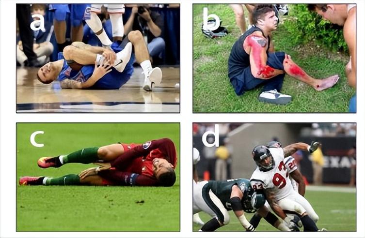 杜仲胶耐磨,杜仲胶简介