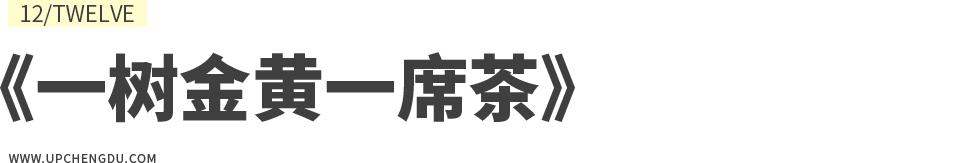 成都向上最新信息,年度向上力量合照