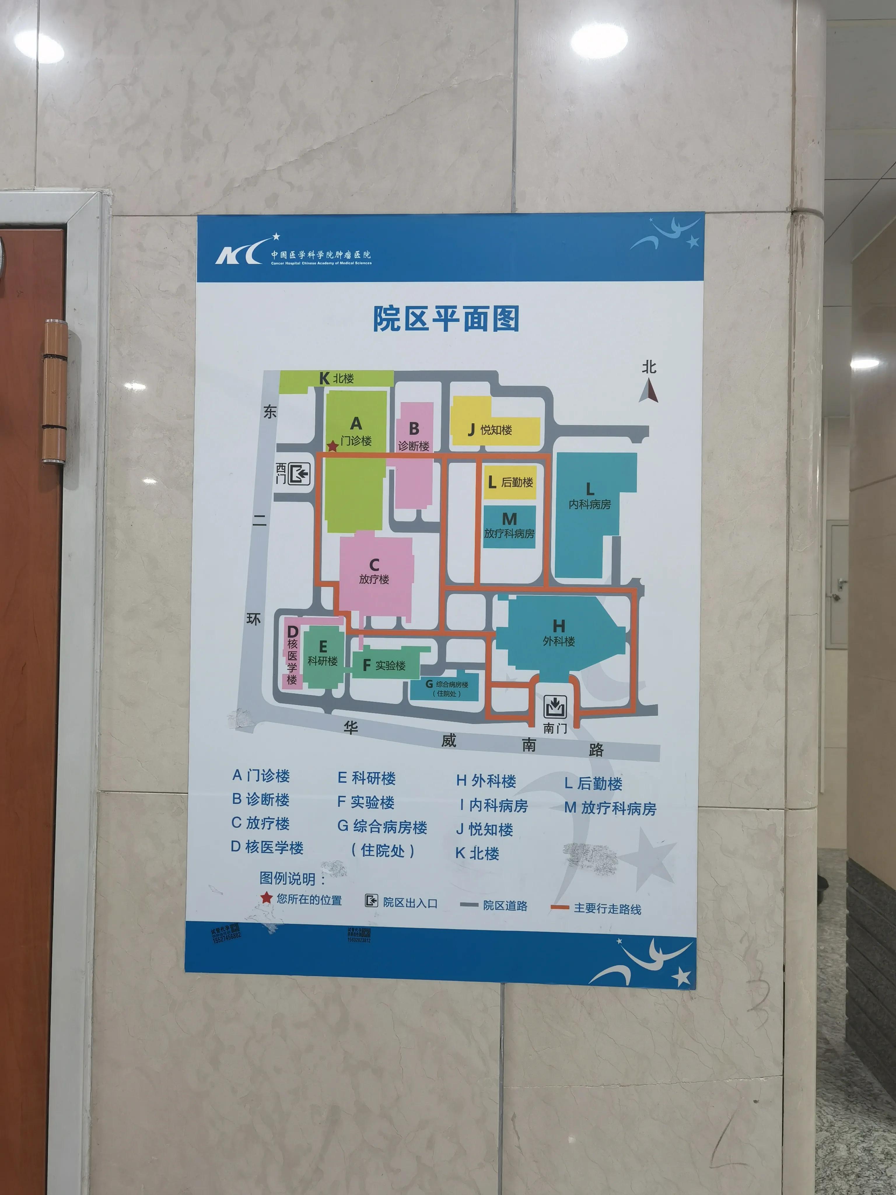 中国医学科学院肿瘤医院官网,中国医学科学院肿瘤医院