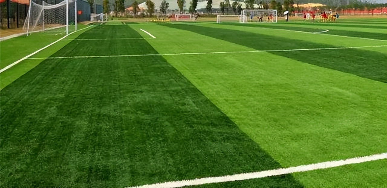 川大打人事件,成都体育学院打人后续处理