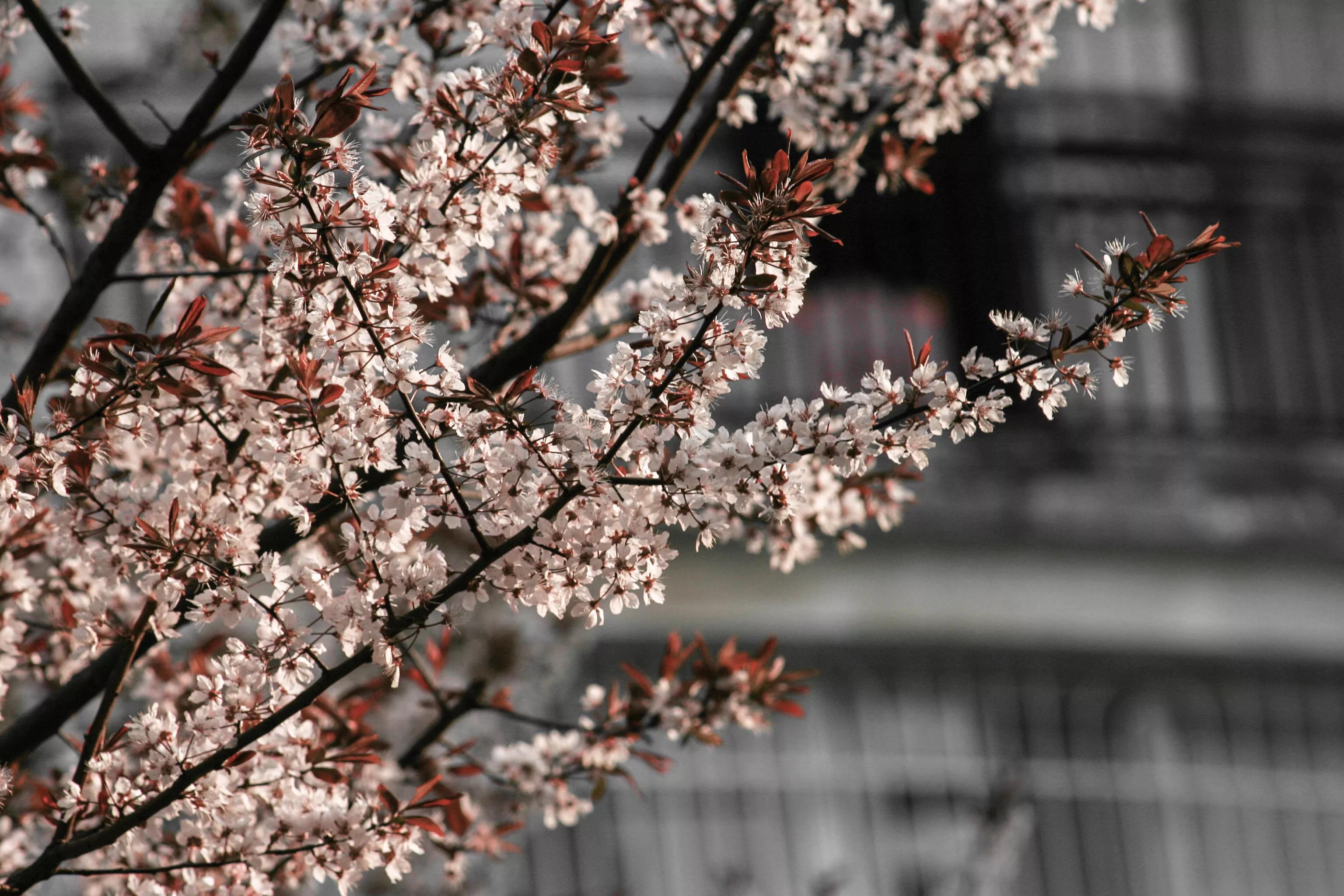 佳能入门机器能拍出好照片,佳能300d入门级