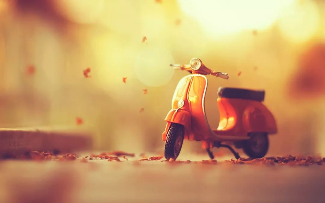 白先勇寂寞的十七岁朗读,白先勇短篇小说原文