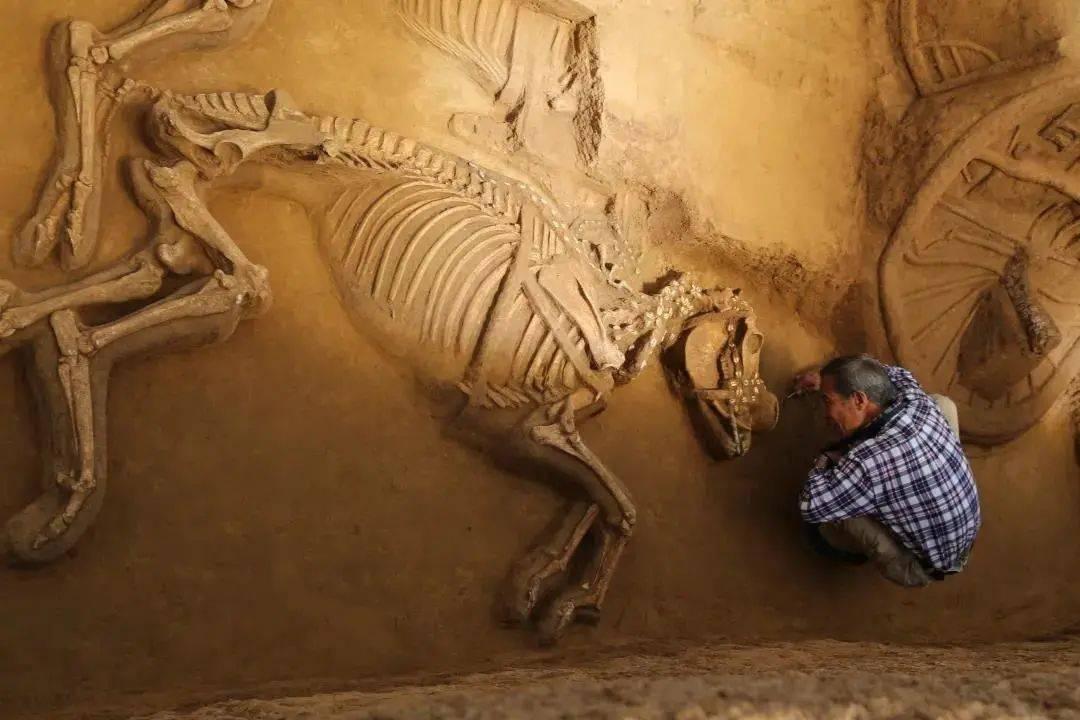 考古学真的没有未来吗,考古学到底有没有前途