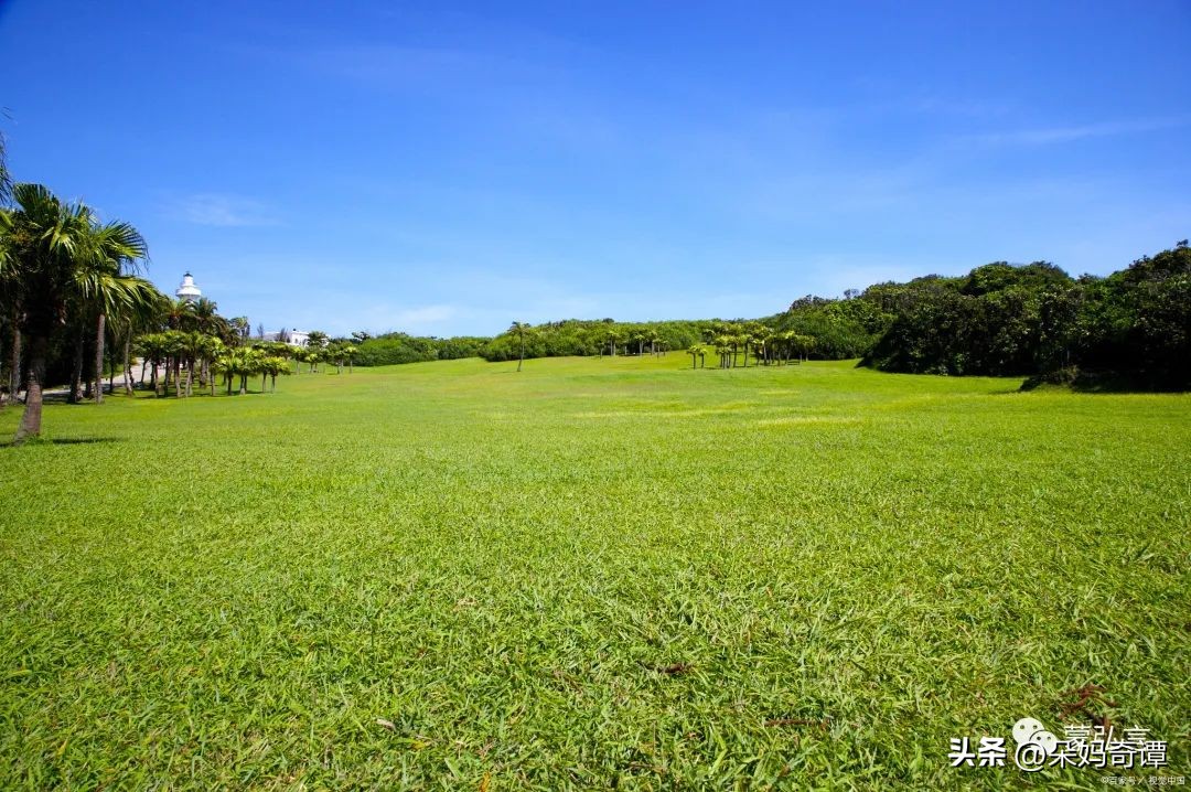 成年人看透人性的真相,成年人世界的十大真相