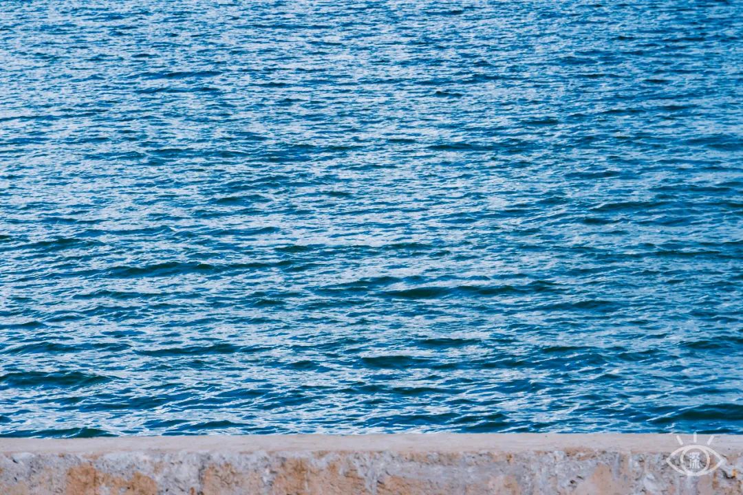 深圳10个小众打卡地免费游玩,深圳十大免费打卡地