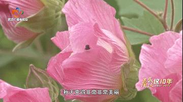 什么是车谷,武汉中国车谷光谷车谷