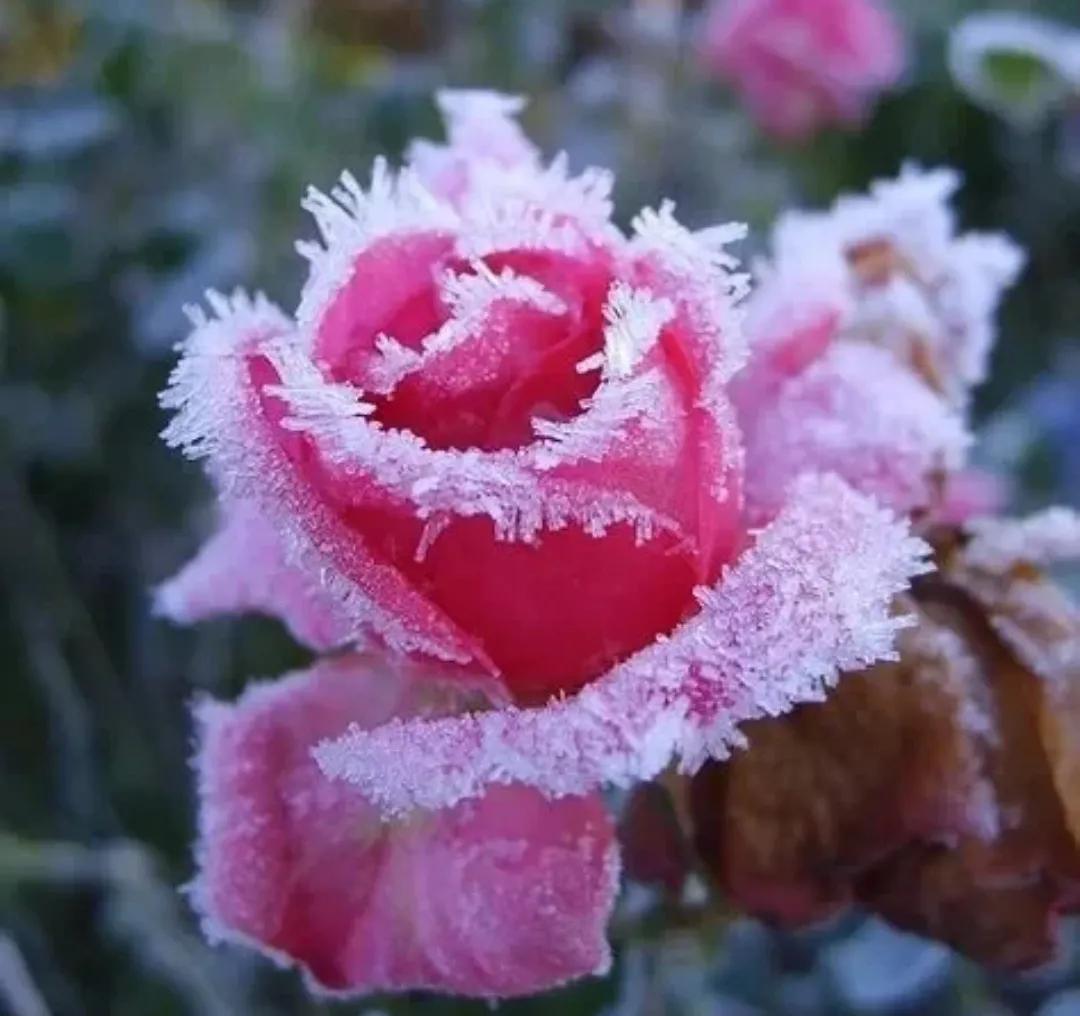 这一刻，让我感觉老公之前所有的好都是虚伪的，装的，心如死灰