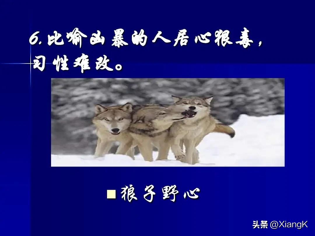 成语狼子野心后半句是什么,一天一日成语
