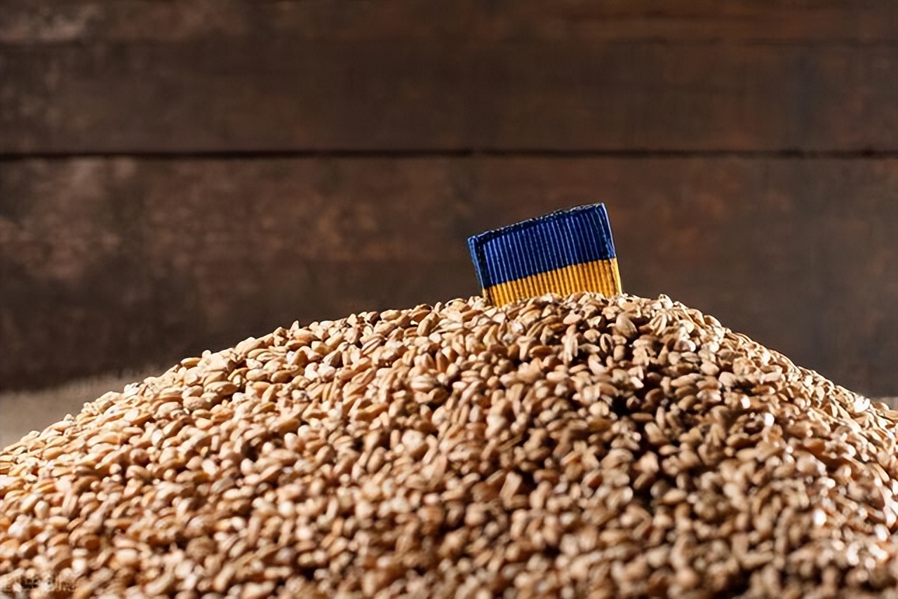 波兰为什么限制乌克兰的农产品,波兰为什么禁止乌克兰农产品