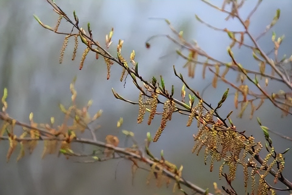 怀柔幽谷神潭风景区值得去吗,怀柔幽谷神潭恢复开放了吗