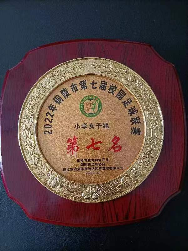 东方红小学学生获奖名单,东方红小学足球比赛