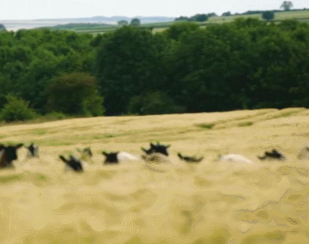 英国富豪农场纪录片,英国富豪农场主纪录片