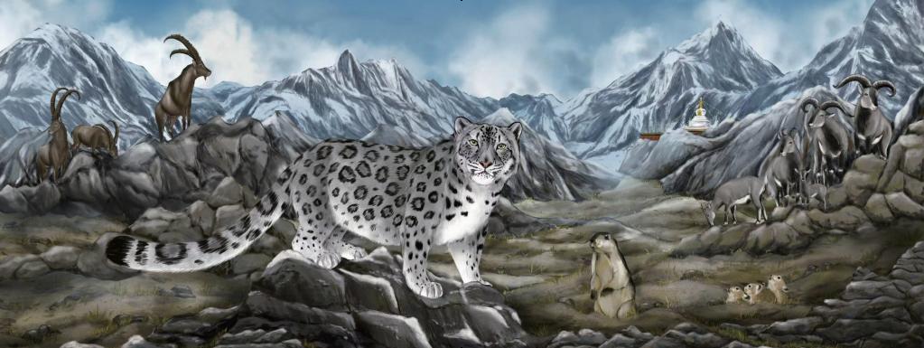 中国有13种猫科动物,中国大猫猞猁图书