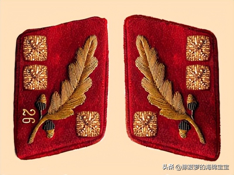 纳粹冲锋队用的什么枪,纳粹德军军衔图解