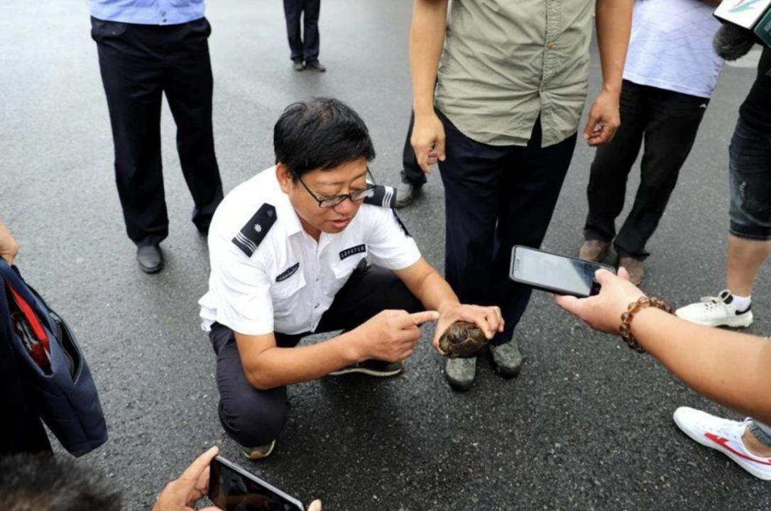 男子在山上捡到不知名小乌龟,男子在河里捡到一只小乌龟