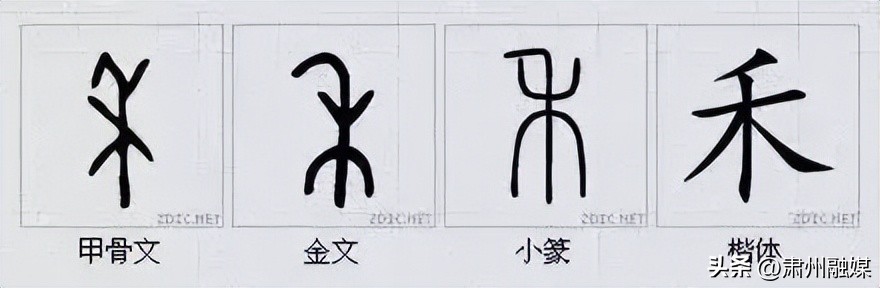 水平极高的演讲太精彩了,十大顶级经典演讲完整版