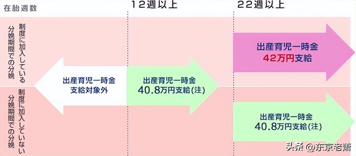 日本医保制度药品目录,2019日本医疗制度
