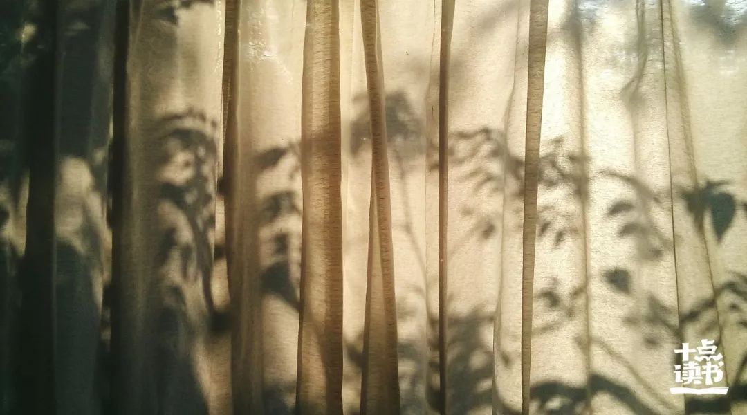 “没钱的婚姻能幸福吗？”我采访了100对夫妻，揭开那些扎心真相