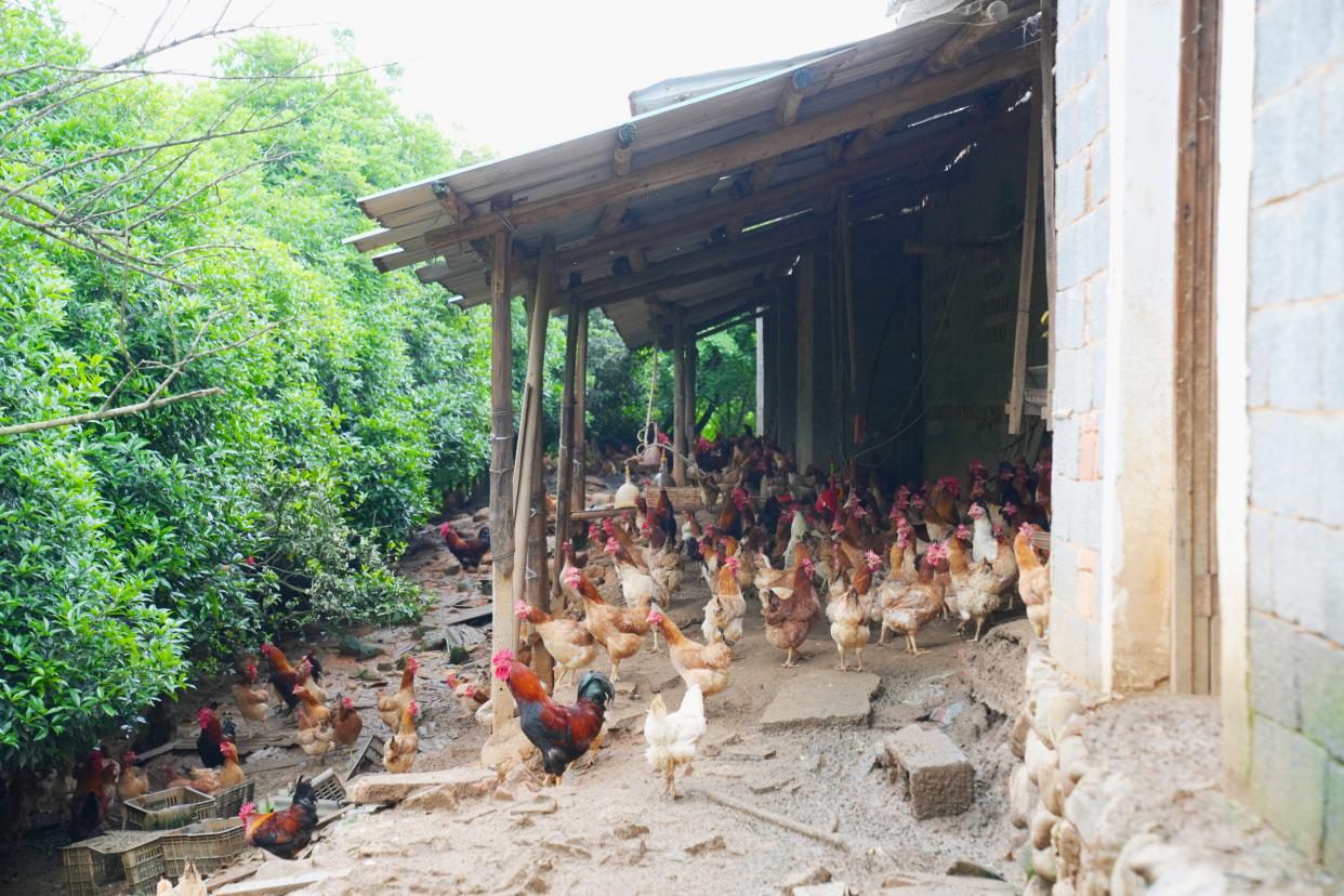 杭州自驾2小时，人间仙境，大美建德，美景美食美宿超实用攻略