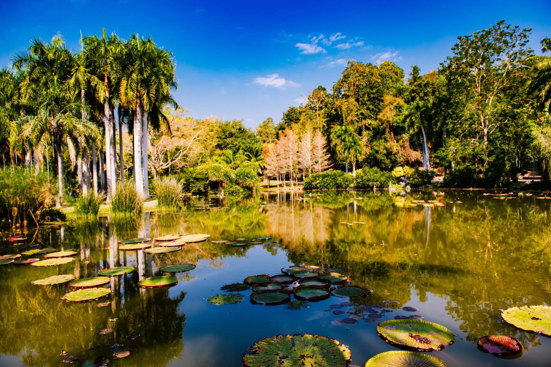 西双版纳10日行——走遍春夏秋冬，总会有人四季等你。