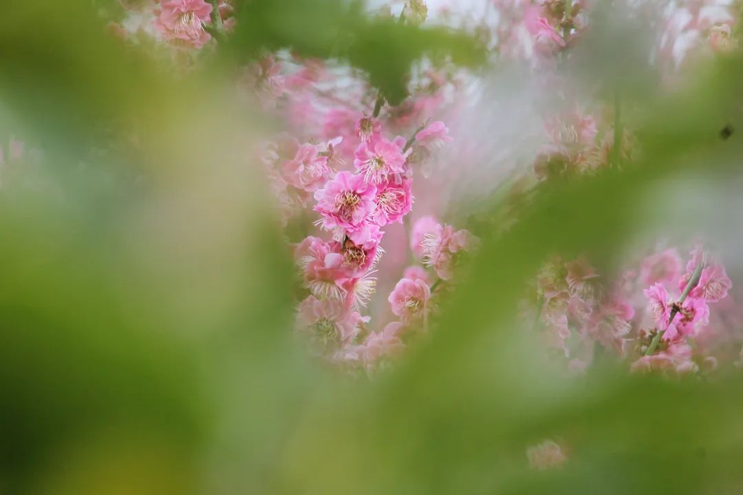 抖音很火的生日短句小朋友,抖音很火的宝宝生日句子大全