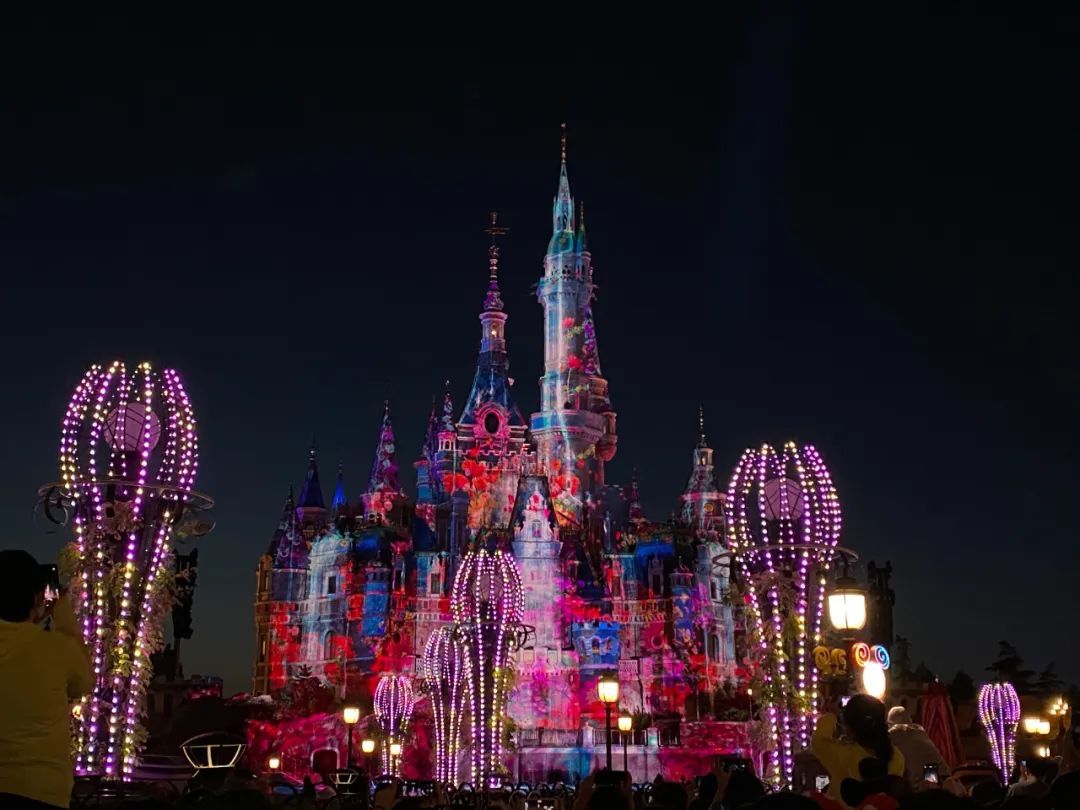 迪士尼旅游跟团一日游攻略,上海旅游团去迪士尼攻略