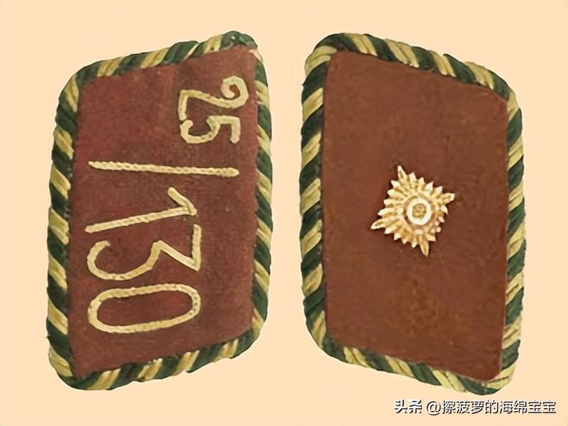 纳粹冲锋队用的什么枪,纳粹德军军衔图解