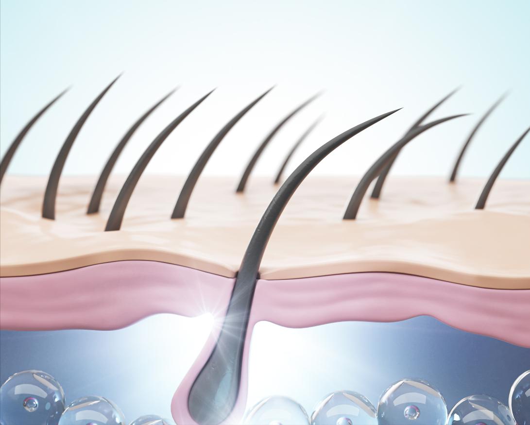 怎样预防身体毛毛脱落,洗澡后腿部掉皮屑是怎么回事