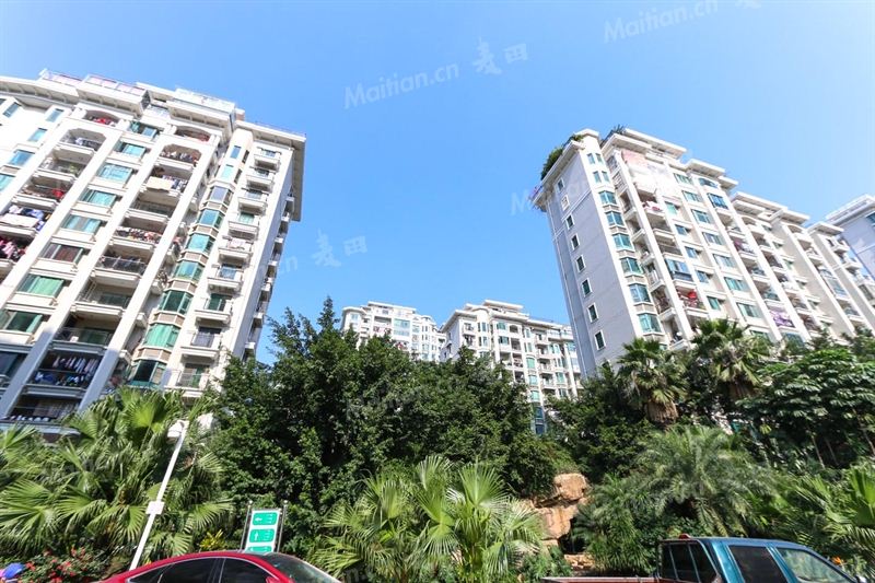 房产中介推销新房源,让房产中介都不敢卖的两种房子