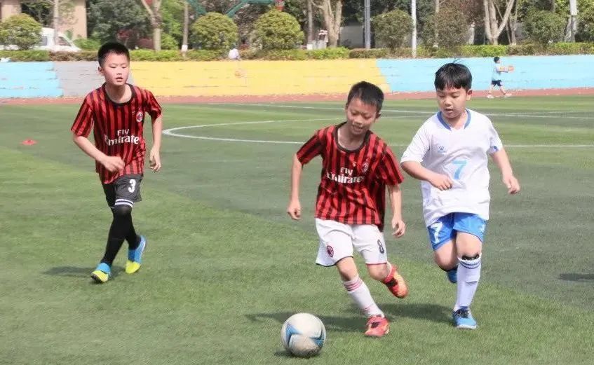 崛起的一代,崛起的王者