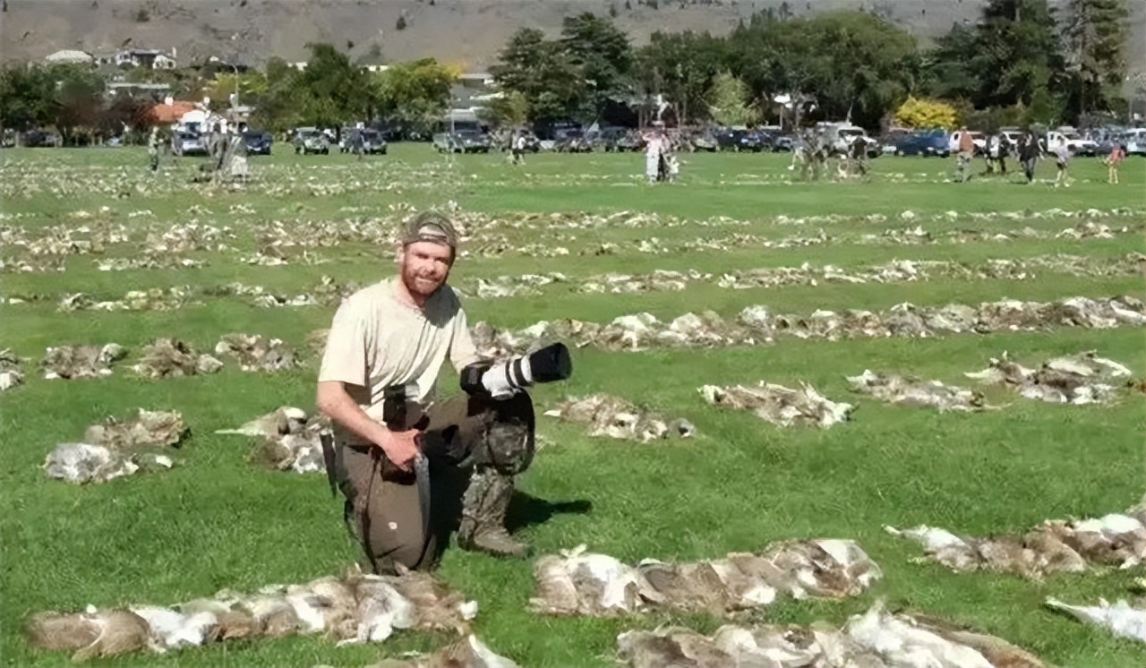澳大利亚野兔泛滥为什么人不吃,澳洲野兔泛滥多达100亿只