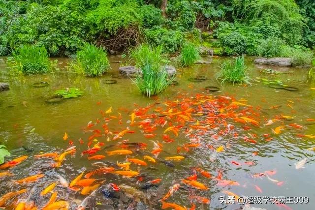 李铁接手国足期间归化球员的状态,李铁归化国足的条件