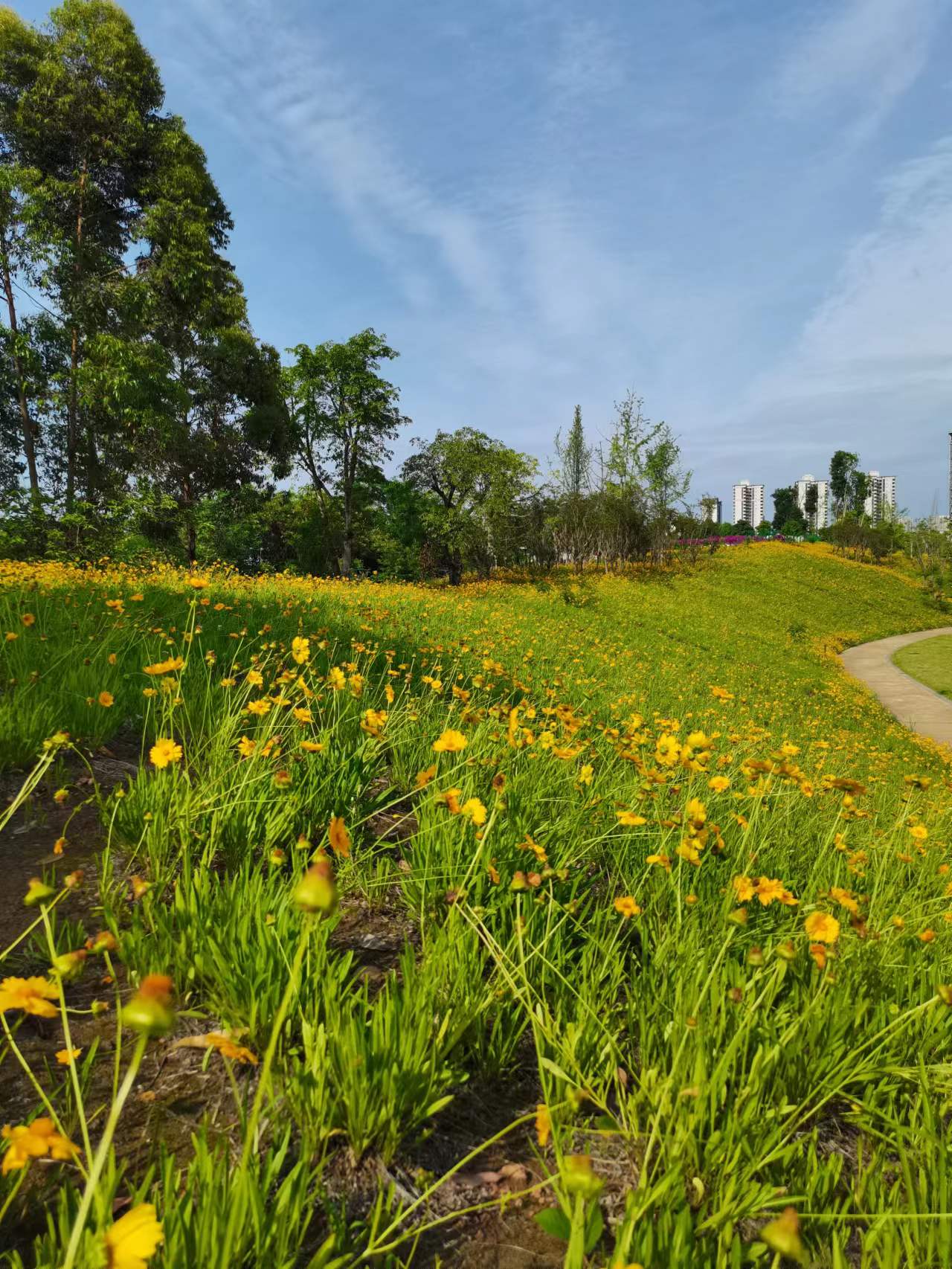 天府新区天府花香谷,成都天府新区花谷