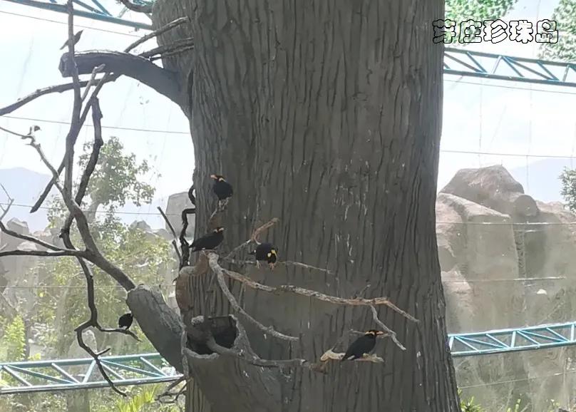 越南芽庄5晚6天观光游 (越南越美醉美芽庄5天品质之旅)