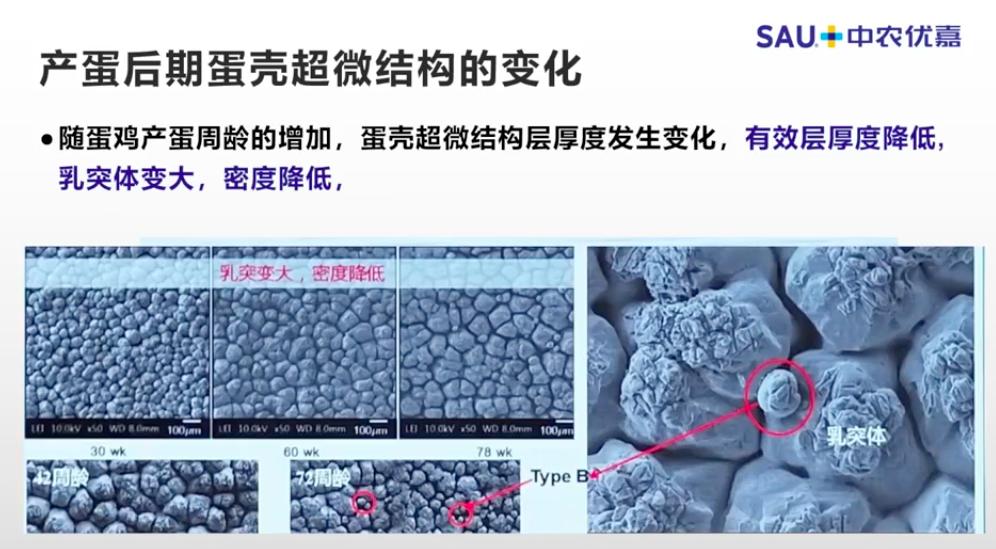 中农优嘉饲料好在哪方面,中农优嘉预混料质量怎么样