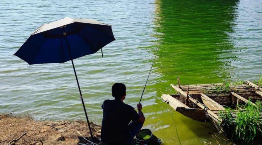 竿包怎么选？从实用性出发，好用、耐用是重点