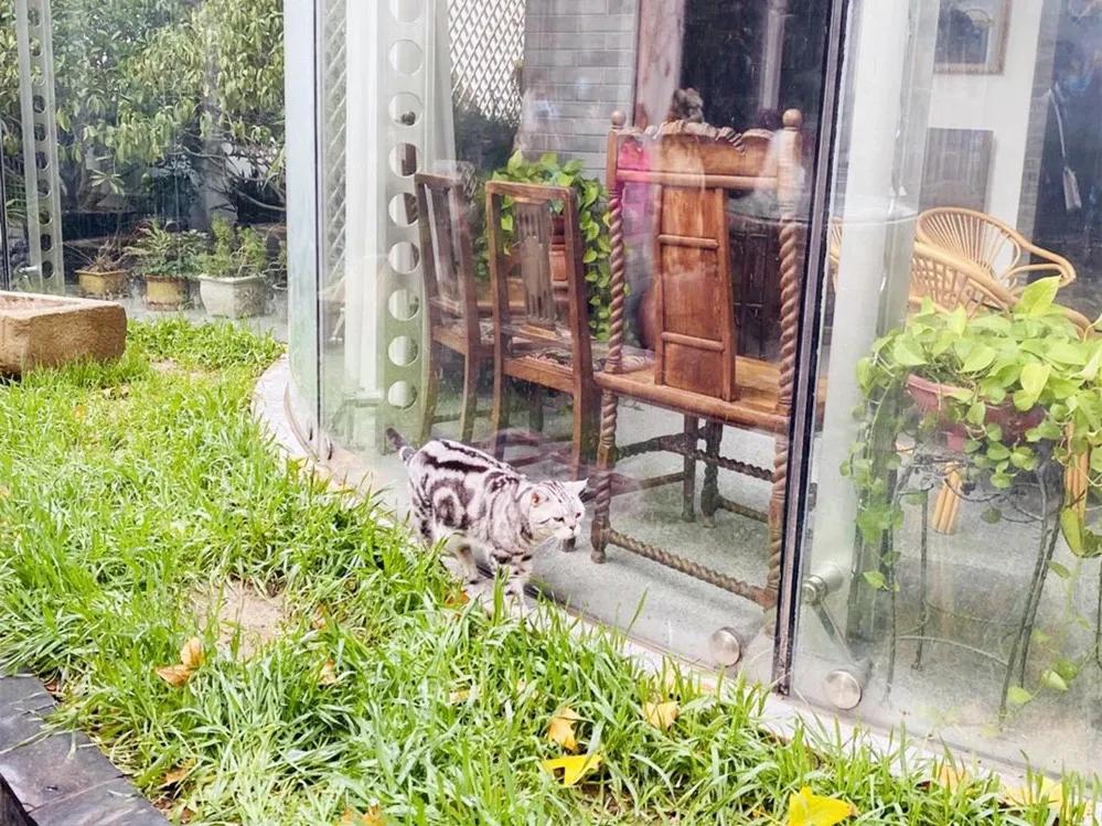 暑假去北京旅游指南攻略大全,暑期北京旅游攻略最新消息